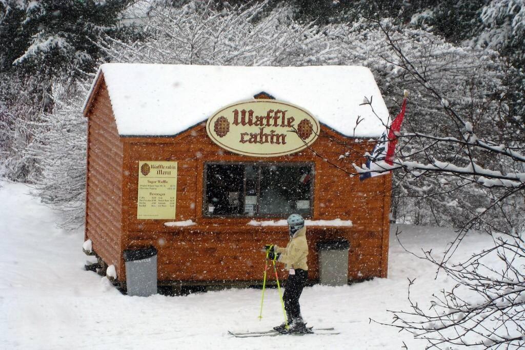 Skiing, Hiking, Village Of Eville Mtn Escape Ellicottville Buitenkant foto